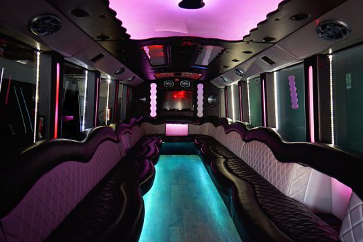 limo party bus wine tours in woodinville wine country 